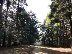 市野郷神社の建物その他