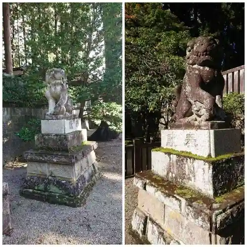 気多若宮神社の狛犬