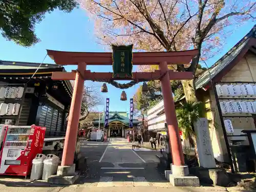 須賀神社の鳥居