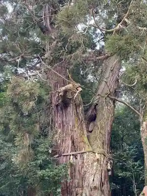 高岡神社(岡山県)