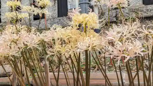 玉田神社(京都府)
