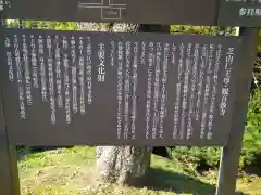 芝山仁王尊 観音教寺の建物その他