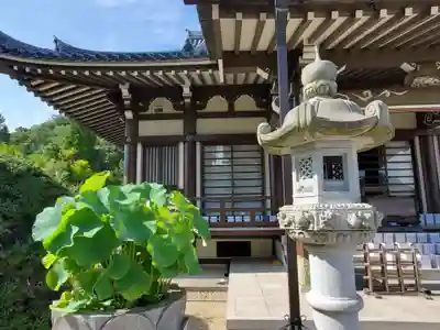 妙法寺のその他建物