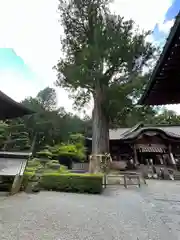 北口本宮冨士浅間神社の建物その他