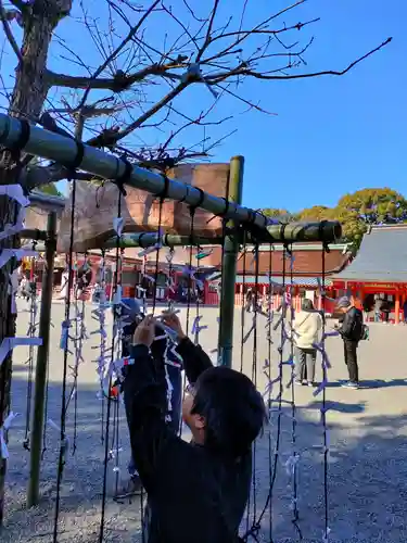 津島神社のおみくじ