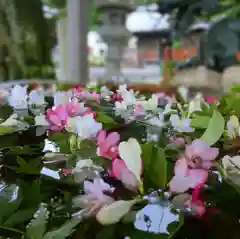 立志神社の手水