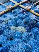 土津神社|こどもと出世の神さまの手水舎