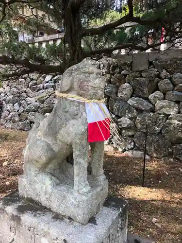 坂本八幡神社の狛犬