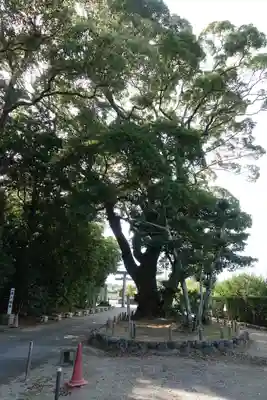 結城神社のその他建物