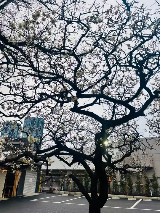 居木神社(東京都)