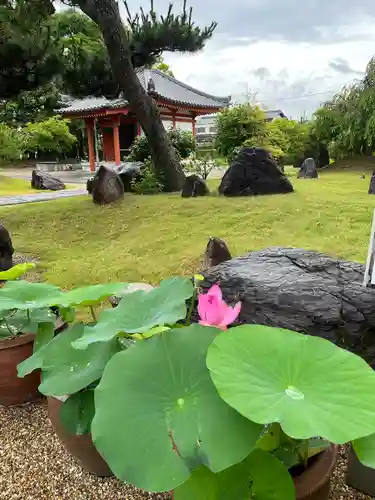 喜光寺(奈良県)