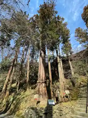 石山寺(滋賀県)