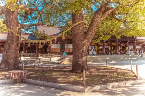 明治神宮(東京都)