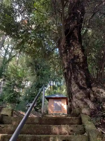 面足神社(千葉県)