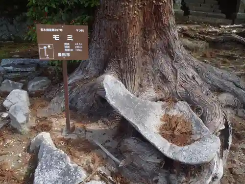 白山神社(愛知県)