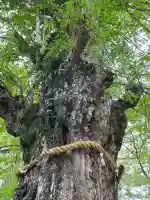 鞆江神社(明地)の{uncategorized: "未分類", other: "その他", undefined: "問題あり", building: "その他建物", grave: "お墓", sacred_gate: "鳥居", guardian: "狛犬", statue: "像", buddha: "仏像", history: "歴史", nature: "自然", garden: "庭園", animal: "動物", pagoda: "塔", temizu: "手水舎", mountain_gate: "山門・神門", sanctuary: "本殿・本堂", subordinate: "末社・摂社", art: "芸術", scenery: "景色", jizo: "地蔵", ema: "絵馬", goshuin: "御朱印", omikuji: "おみくじ", items: "授与品その他", amulet: "お守り", goshuincho: "御朱印帳", eats: "食事", festival: "お祭り", votive_dance: "神楽", shichigosan: "七五三参", wedding: "結婚式", experience: "体験その他", initially: "初詣", around: "周辺", anti_infection: "感染症対策"}