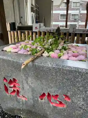 高円寺氷川神社(東京都)