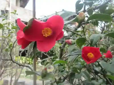 大巧寺(神奈川県)