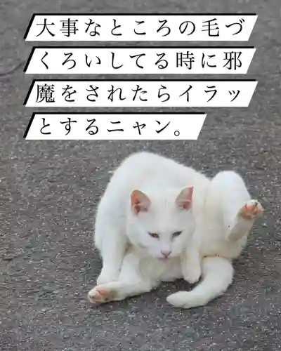 専念寺(大阪府)