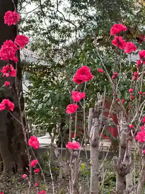 簳幹八幡宮(東京都)