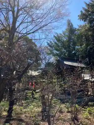白岡八幡神社(埼玉県)