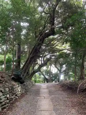 縣神社のその他建物
