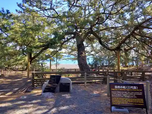 御穂神社の自然