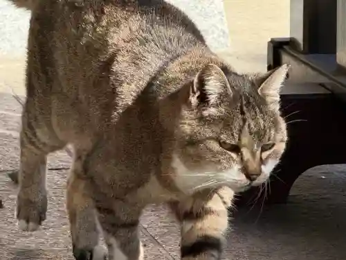 白金氷川神社(東京都)