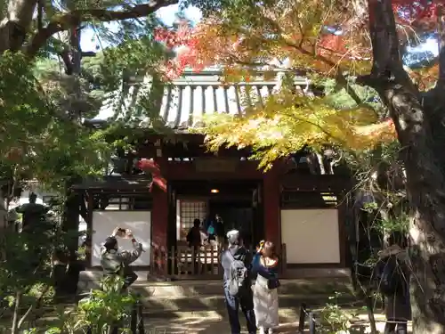 本土寺の山門・神門