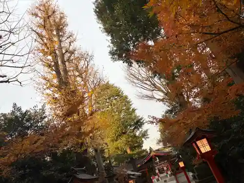 馬橋稲荷神社(東京都)