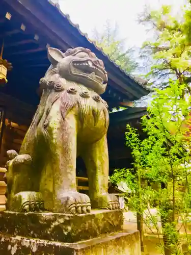 大宝八幡宮の狛犬