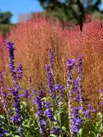 土肥金山 山神社の自然