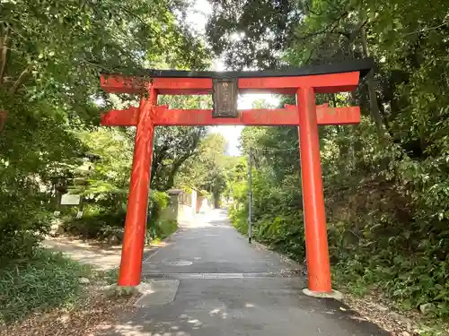 竹中稲荷神社（吉田神社末社）(京都府)