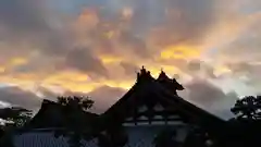 妙心寺（妙心禅寺）の自然