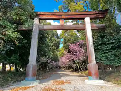 近江神宮の鳥居