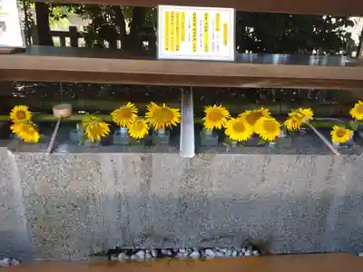 進雄神社の手水舎