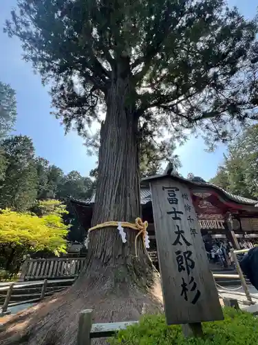北口本宮冨士浅間神社(山梨県)