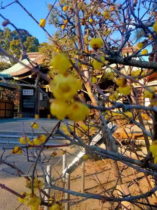 結城神社(三重県)