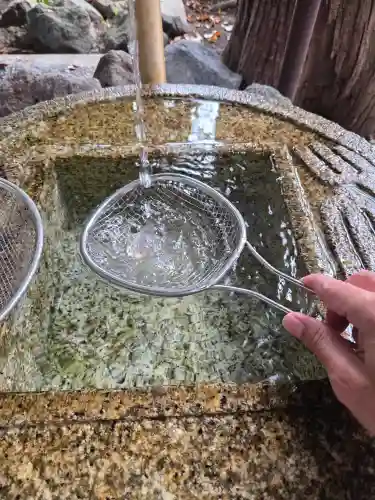 水分神社の{uncategorized: "未分類", other: "その他", undefined: "問題あり", building: "その他建物", grave: "お墓", sacred_gate: "鳥居", guardian: "狛犬", statue: "像", buddha: "仏像", history: "歴史", nature: "自然", garden: "庭園", animal: "動物", pagoda: "塔", temizu: "手水舎", mountain_gate: "山門・神門", sanctuary: "本殿・本堂", subordinate: "末社・摂社", art: "芸術", scenery: "景色", jizo: "地蔵", ema: "絵馬", goshuin: "御朱印", omikuji: "おみくじ", items: "授与品その他", amulet: "お守り", goshuincho: "御朱印帳", eats: "食事", festival: "お祭り", votive_dance: "神楽", shichigosan: "七五三参", wedding: "結婚式", experience: "体験その他", initially: "初詣", around: "周辺", anti_infection: "感染症対策"}