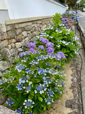 くろ谷 金戒光明寺(京都府)