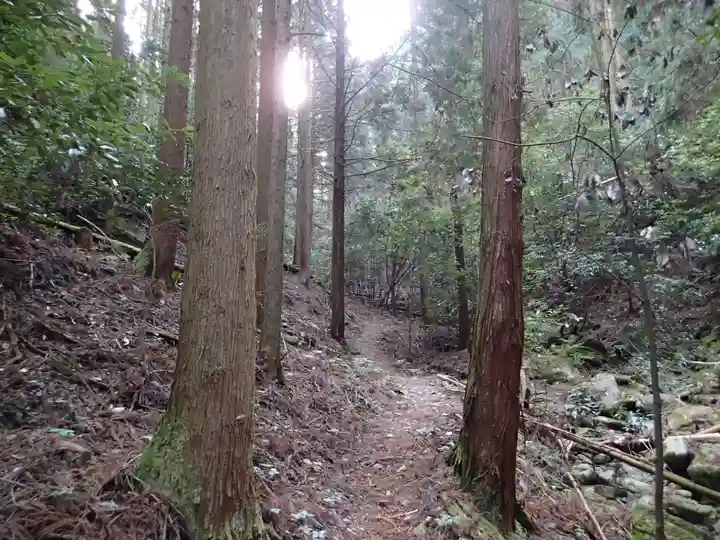 島大国魂神社の周辺