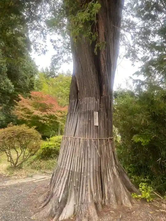 豊景神社(福島県)