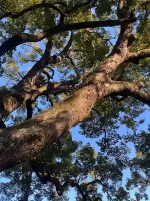 事任八幡宮(静岡県)