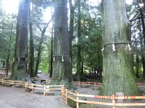 河口浅間神社の自然