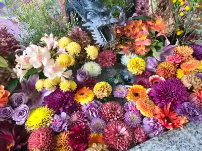 札幌諏訪神社の手水舎