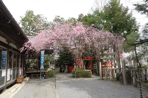 水火天満宮の庭園