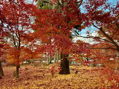 禅林寺（永観堂）(京都府)