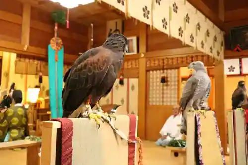 春日神社の動物