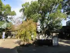 藤白神社の自然