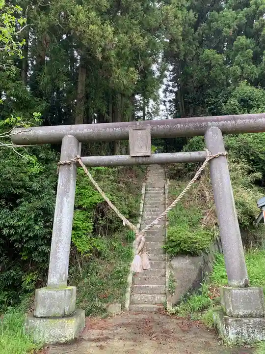 東泉箒根神社の鳥居